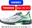 【お取り寄せ含】【送料無料】MIZUNO ミズノ テニスシューズ WAVE EXCEED TOUR 6 OC ウエーブエクシードツアー 6 OC 61GB247...