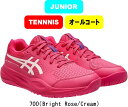 【送料無料】asics アシックス テニスシューズ GEL-RESOLUTION X GS ゲルレゾリューション X GS オールコート 1044A081 #総...