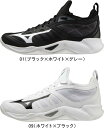 【あす楽】【送料無料】MIZUNO ミズノ バレーボールシュ