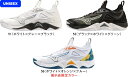 【お取り寄せ含】【送料無料】MIZUNO ミズノ バレーボー