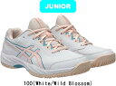 【送料無料】asics アシックス バレーボールシューズ ローカット GEL-NETBURNER BALLISTIC 4 GS 1054A013 100 #新入部 #新入生 #総体 #インターハイ #新チーム #最後の #卒団 #引退 #記念品 #プレゼント