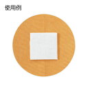 入浴パッド(25セット/箱)730-007-03(F00800)
