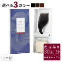 ヘアパッチ ウィッグ(1個入)