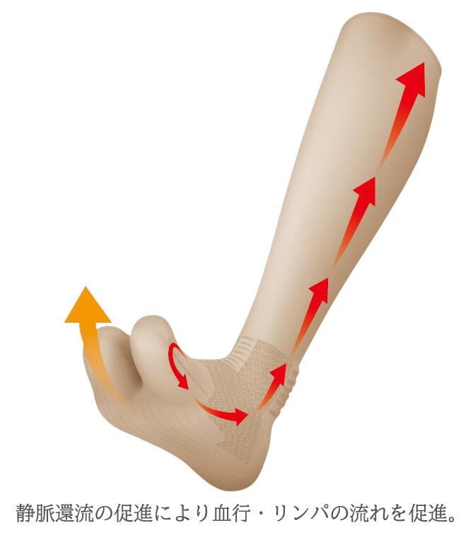 ���ӷ����Ѳ�­ (1­��)