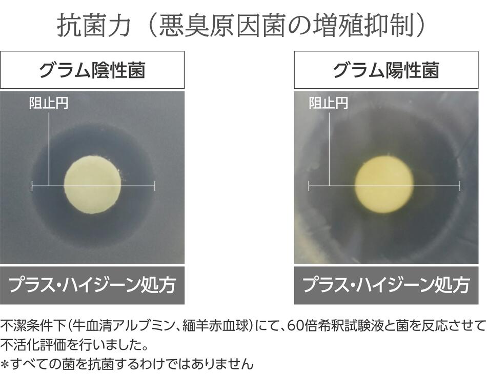 MMI �����ȥϥ�������ý����� DML-1��1������