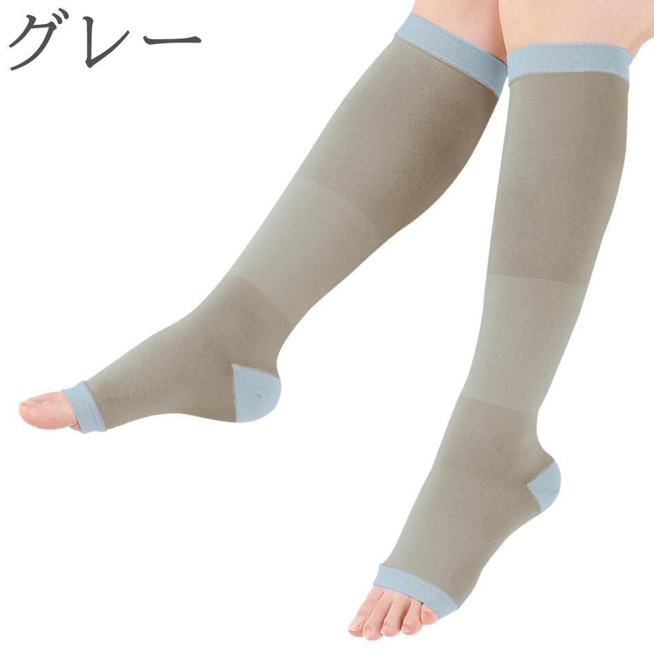 dacco �ޥ��˥ƥ��尵���å��� �ۥåȥ���å� ���� (1­��)