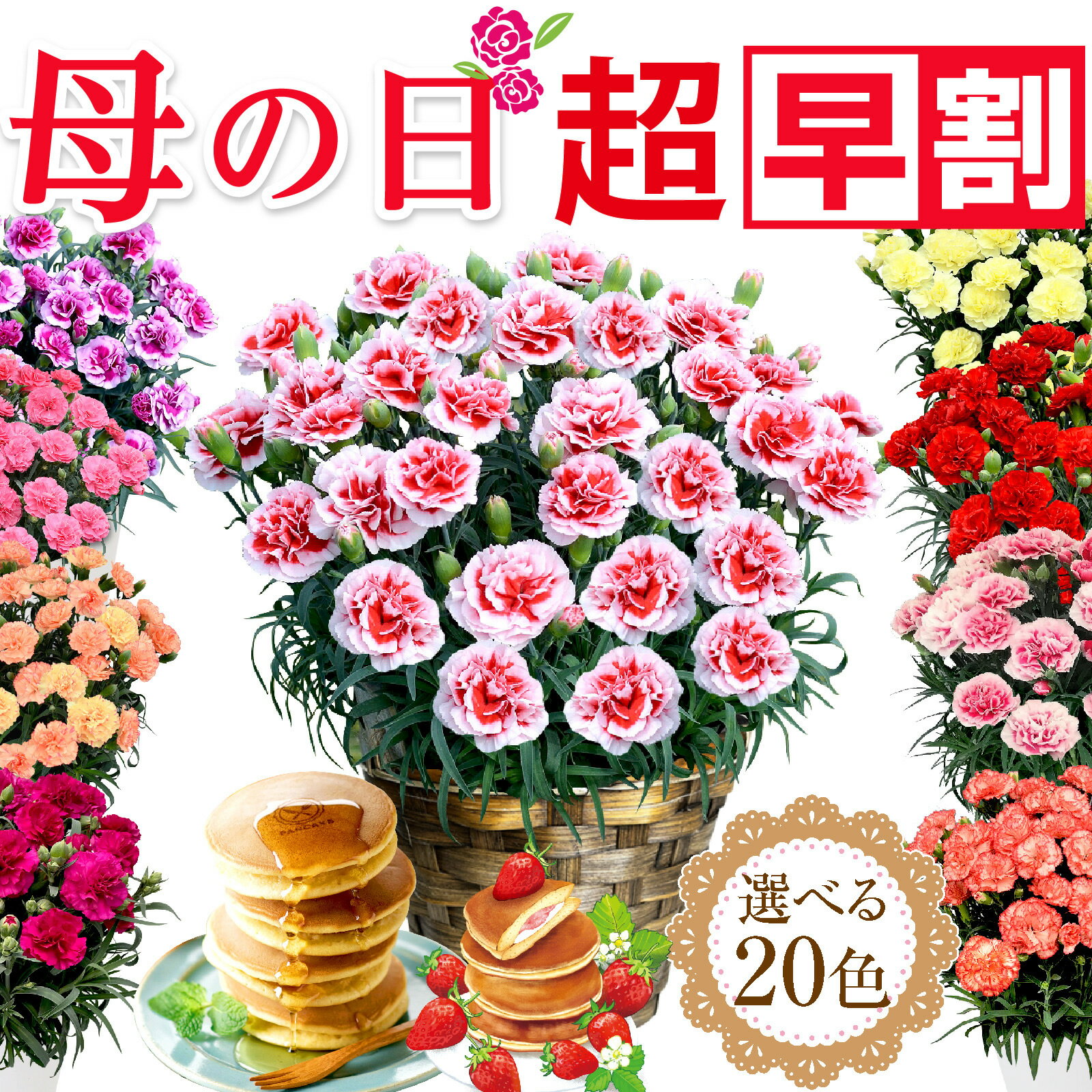 母の日 プレゼント 早割 母の日ギフト 2024 花 カーネーション 花鉢植え 花とお菓子 5号 鉢植え 生花 おしゃれ かわいい スイーツセット 送料無料 スイーツ お菓子 早割りギフトセット 人気パンケーキ2個付き 伊豆村の駅