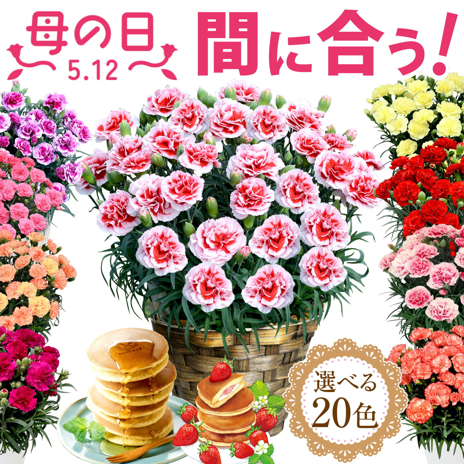 直前SALE★まだ間に合う 母の日 プレゼント 母の日ギフト ははの日2024 花 カーネーション 花鉢植え 花とお菓子 5号 鉢植え 生花 おしゃれ かわいい スイーツセット 送料無料 早割 スイーツ お菓子 早割りギフトセット 人気パンケーキ2個付き 伊豆村の駅