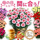 直前SALE★まだ間に合う 母の日 プレゼント 母の日ギフト ははの日2024 花 カーネーション 花鉢植え 花とお菓子 5号 鉢植え 生花 おしゃれ かわいい スイーツセット 送料無料 早割 スイーツ お菓子 早割りギフトセット 人気パンケーキ2個付き 伊豆村の駅