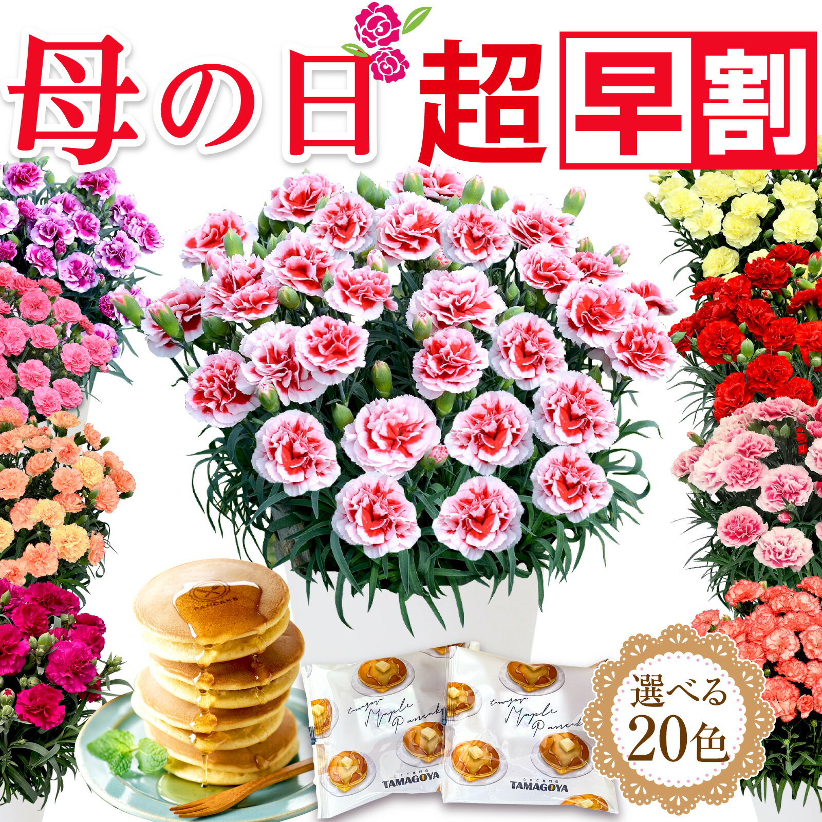 \今の早割20日まで!/ 母の日 超早割 母の日プレゼント 母の日ギフト 花 カーネーション鉢花 2023 5号 鉢植え 生花 おしゃれ かわいい スイーツセット 送料無料 スイーツ お菓子 早割りギフトセット 人気パンケーキ2個付き 伊豆村の駅