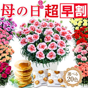 ＼超早割！／ 母の日 プレゼント 母の日ギフト 花 カーネーション鉢花 2023 5号 鉢植え 生花 おしゃれ かわいい スイーツセット 送料無料 スイーツ お菓子 早割りギフトセット 人気パンケーキ2個付き 伊豆村の駅