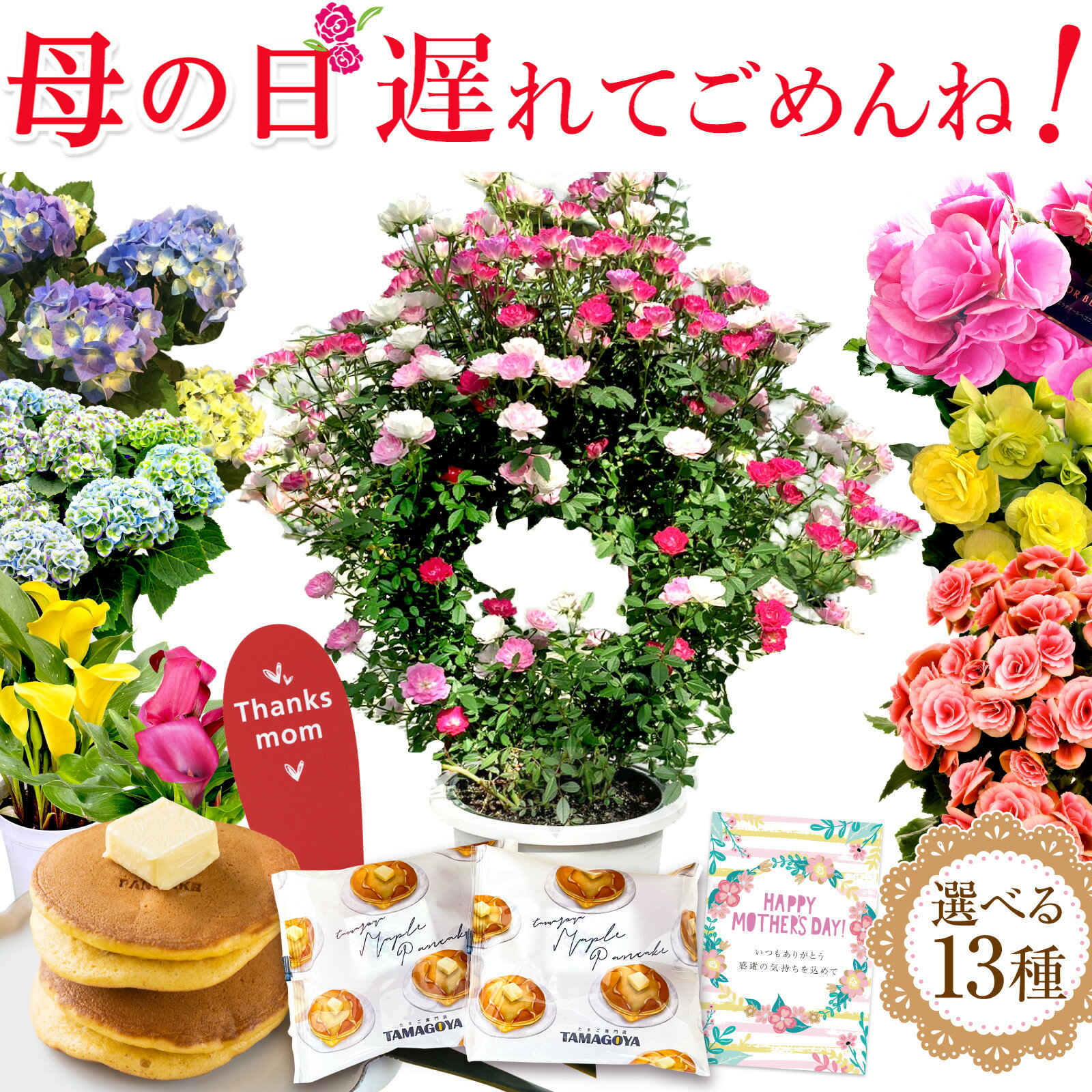 最大150円クーポン！遅れてごめんね 母の日 プレゼント 早割 母の日ギフト ははの日2024 あじさい 花 鉢植え 母の日 ギフト アジサイ バラ 薔薇 スイーツセット 鉢植え 生花 おしゃれ 送料無料 スイーツ お菓子 早割りギフトセット 人気パンケーキ2個 伊豆村の駅のサムネイル