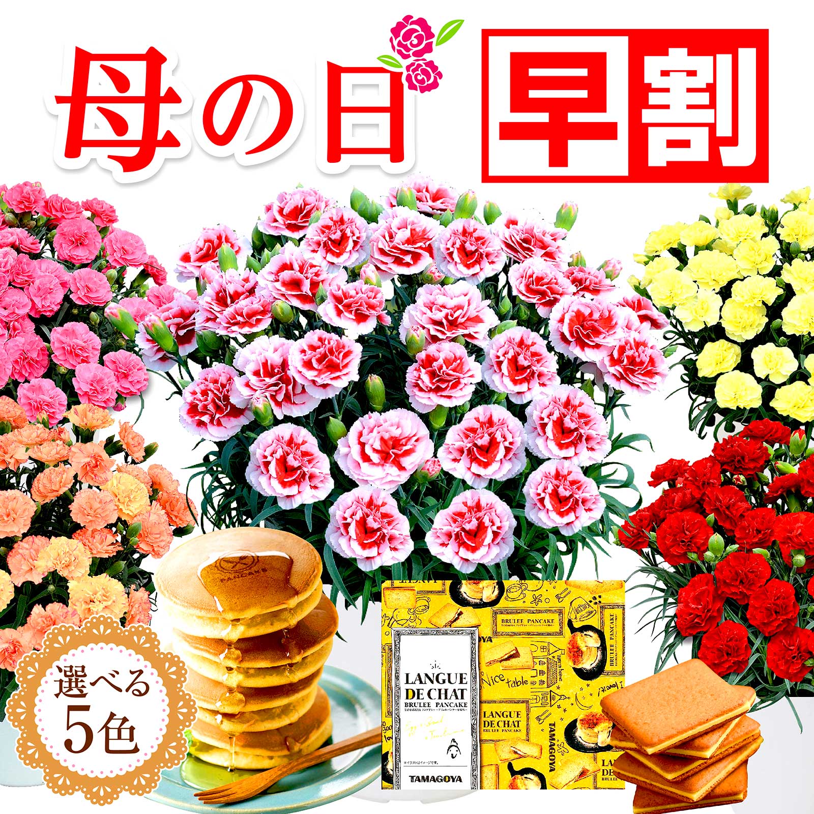 ＼11日に値段あがります／ 母の日プレゼント カーネーション 花 鉢植え スイーツセット 母の日 ギフト 早割＆クーポン