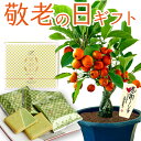 敬老の日 プレゼント ギフト 花 花とスイーツset ミニ盆栽 あす楽 落葉樹 花鉢 定番 人気 期 ...