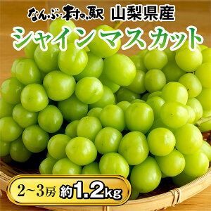 シャインマスカット 1.2kg★山梨県産 ギフト プレゼント 間に合う お取り寄せ お取り寄せグルメ スイーツ フルーツ 高級マスカット 送料無料 敬老の日ギフト 贈り物 贈答 誕生日プレゼント お祝い プチギフト なんぶ村の駅 伊豆村の駅 あす楽