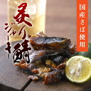炙り鯖ジャーキー 酒肴の一品 国産鯖 ジャーキー おつまみ サバ 乾物 さば 伊豆・村の駅
