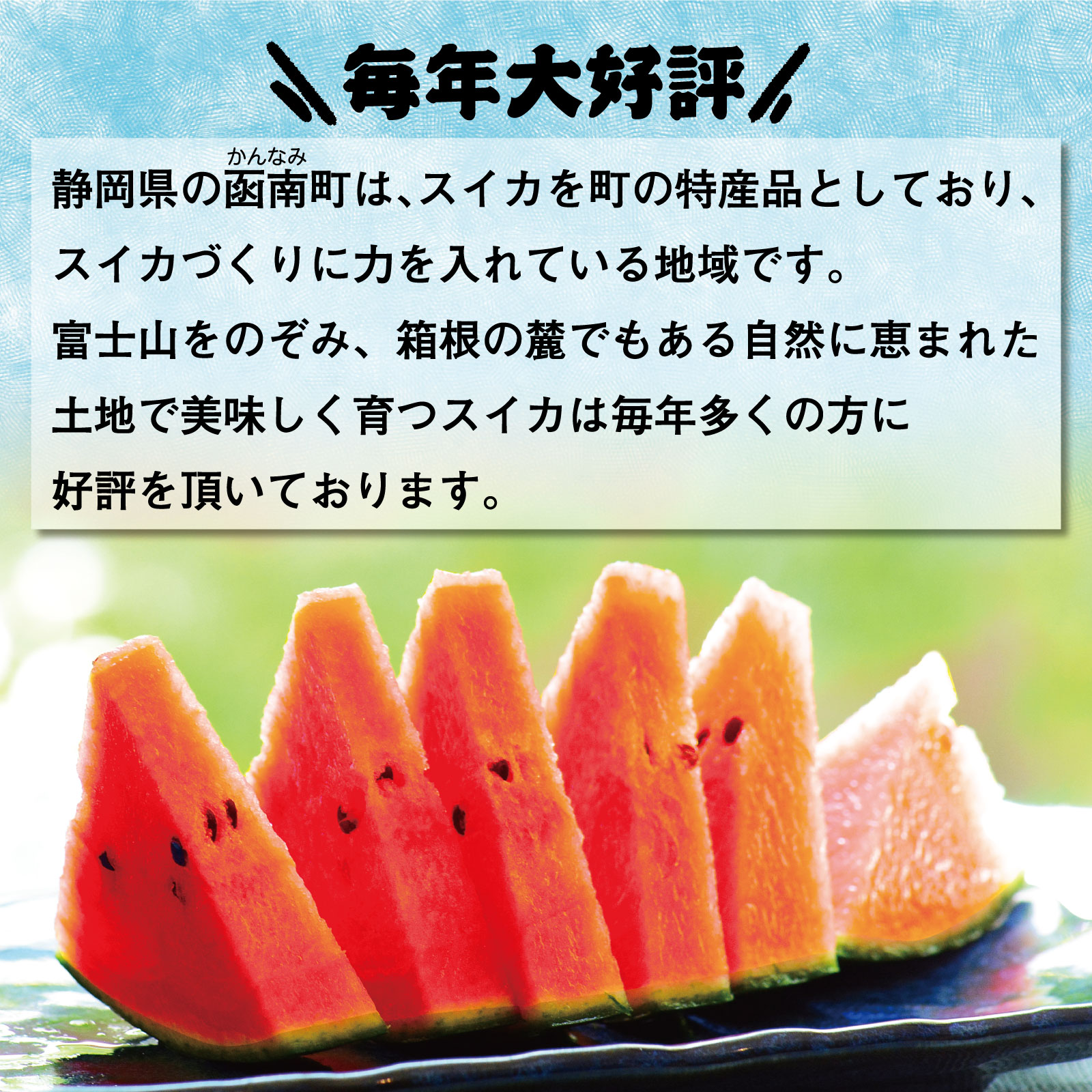 ≪本日エントリーP10倍★≫≪送料無料≫静岡県産 スイカ 1玉 静岡県函南産すいか 1玉（L...