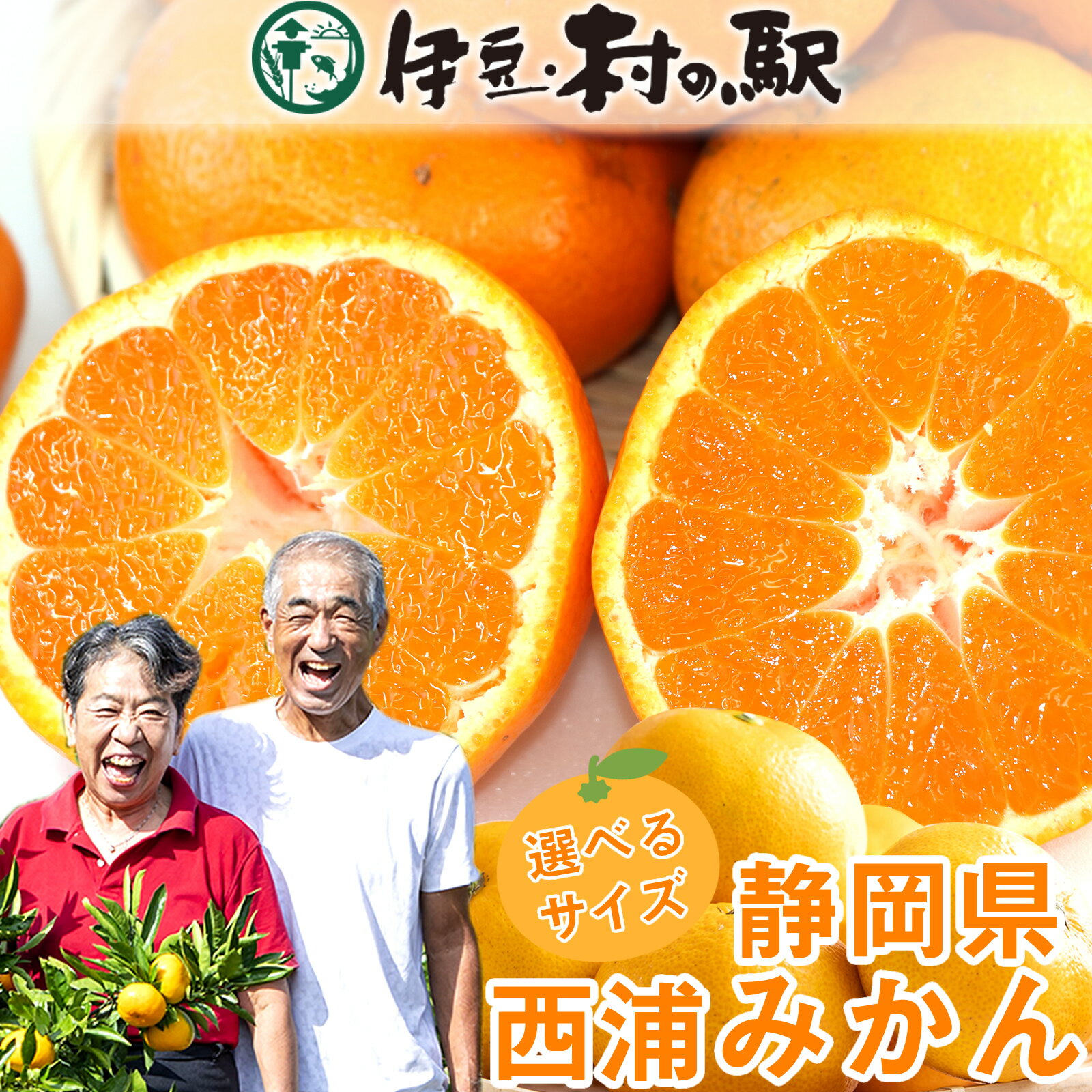 ≪送料無料≫産地直送！選べる西浦みかん3kg 5kg 10kg みかん ミカン 贈答OK！人気フルーツの贈り物 御歳暮 クリスマス 御礼 お祝い お年賀 温州みかん 静岡県沼津 三島 伊豆で人気温州みかん