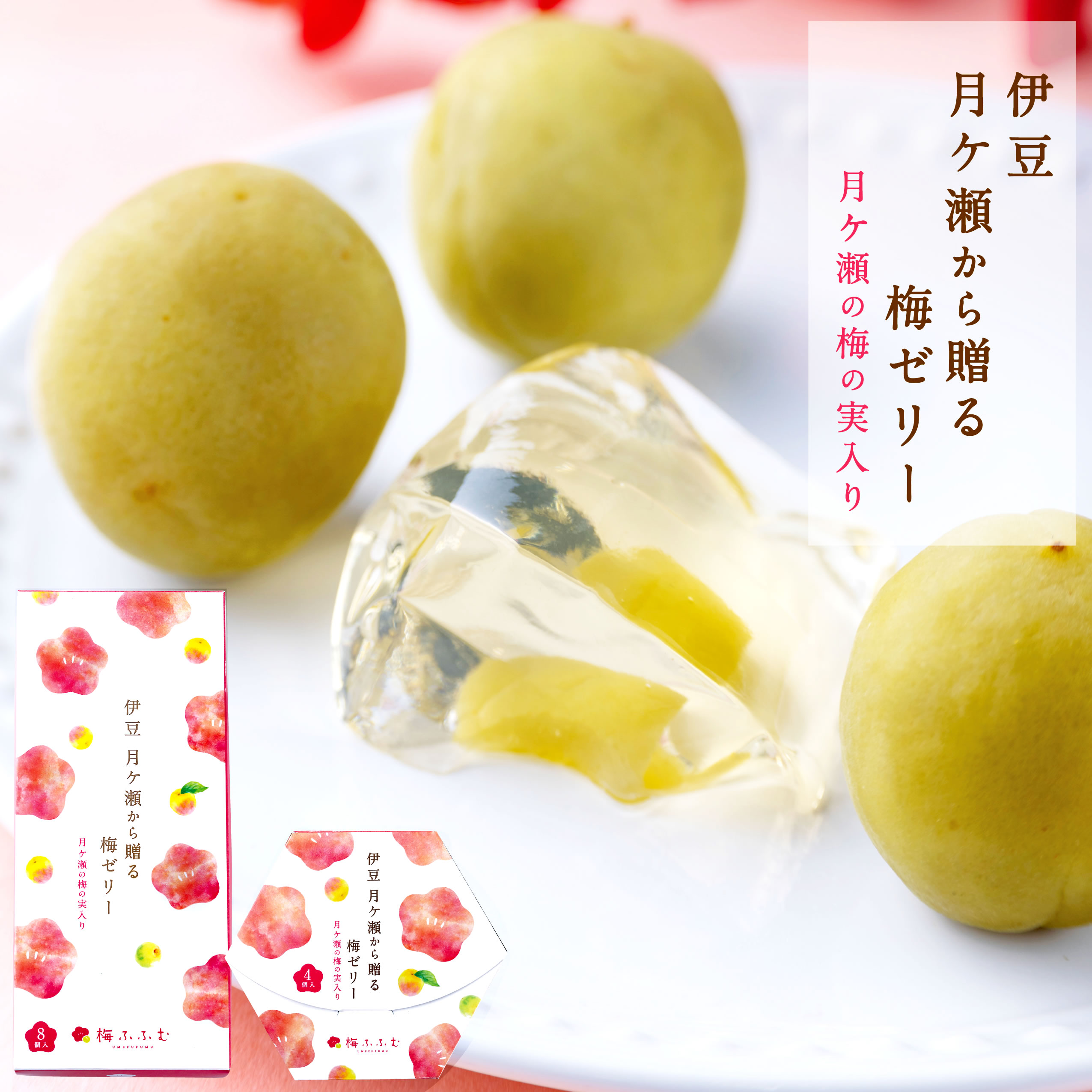 お中元御中元夏ギフト暑中見舞い残暑見舞い2025お菓子ギフト梅ゼリースイーツ個包装かわいい送料無料スイーツお菓子和菓子洋菓子ギフトセットプチギフト人気伊豆村の駅月ヶ瀬