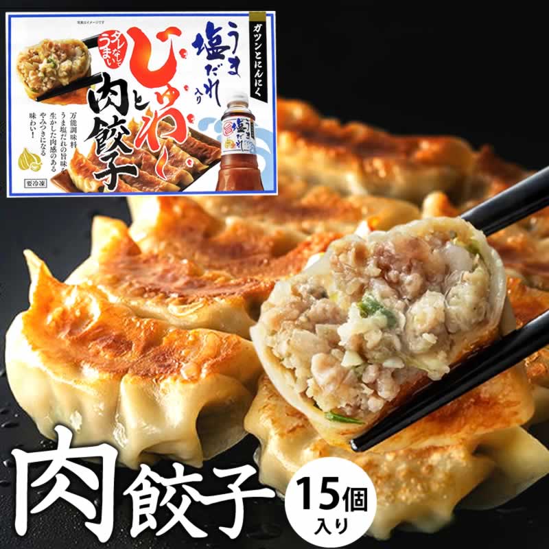 うま塩だれ肉餃子 15個入 ぎょうざ ギョウザ 冷凍 国産 生餃子 冷凍餃子 簡単 にんにく 小分け お取り寄せ 【冷凍品】あす楽 冷凍品以外同梱不可