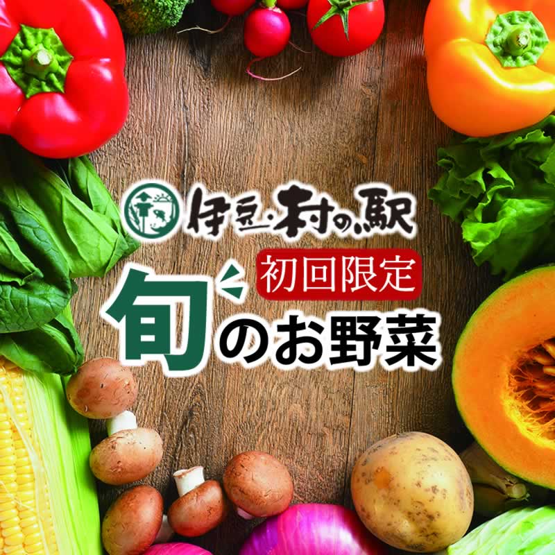 楽天ランキング1位★伊豆のお野菜セット 初回限定お試しで5品確定！おまかせ季節の野菜詰合せセット 産地直送 季節野菜 送料無料 伊豆村の駅 お試しセット【おひとり様1セット限定】【初回限定】のサムネイル