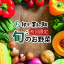 楽天ランキング1位★伊豆のお野菜セット 初回限定お試しで5品確定！おまかせ季節の野菜詰合せセット 産地直送 季節野菜 送料無料 伊豆村の駅 お試しセット【おひとり様1セット限定】【初回限定】あす楽