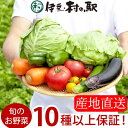 楽天ランキング連続1位★伊豆のお野菜セット リニューアルで10品以上確定！おまかせ季…