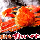 送料無料 ズワイガニ姿 ボイルずわいがに750g 1匹 お取り寄せ ずわい蟹 かに お中元ギフト 御中元 贈り物 贈答 贈り物 誕生日プレゼント お祝い プチギ...