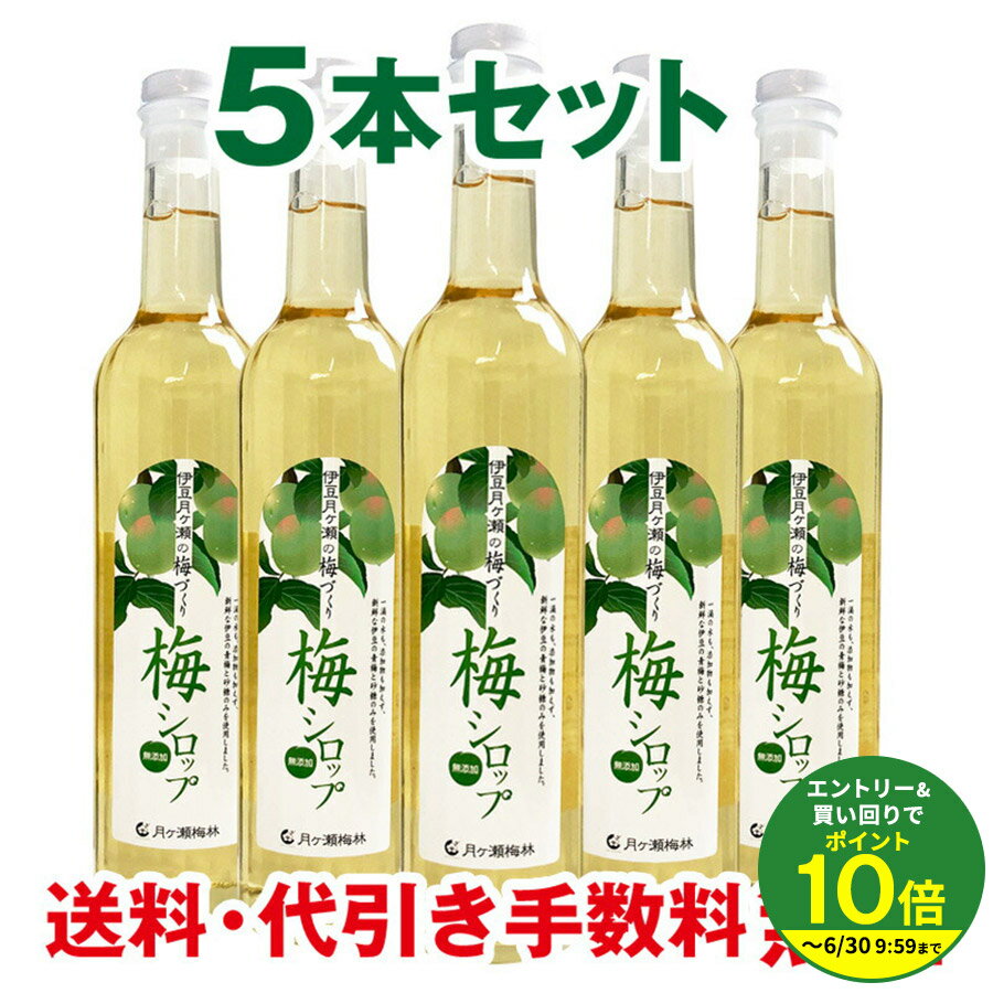 ≪エントリーで最大P10倍！≫ 無添加 梅シロップ ノンアルコール 梅ジュース 梅ドリンク うめシロップ 500ml 5本セット お祝い 内祝い 誕生日プレゼント ホワイトデーお返し