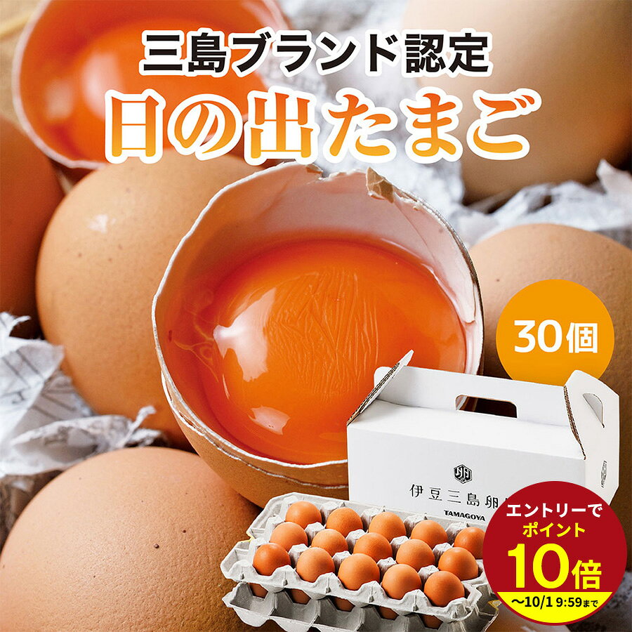 ＼ZIP＆ヒルナンデスで紹介！／ ブランド生たまご 日の出たまご 30個セット 驚きの弾力★数量限定の卵 卵がけごはん ゆでタマゴにも ギフトセット お歳暮 御歳暮ギフト 贈り物 贈答 誕生日プレゼント お祝い プチギフト 伊豆村の駅 TAMAGOYA 冷蔵便★★