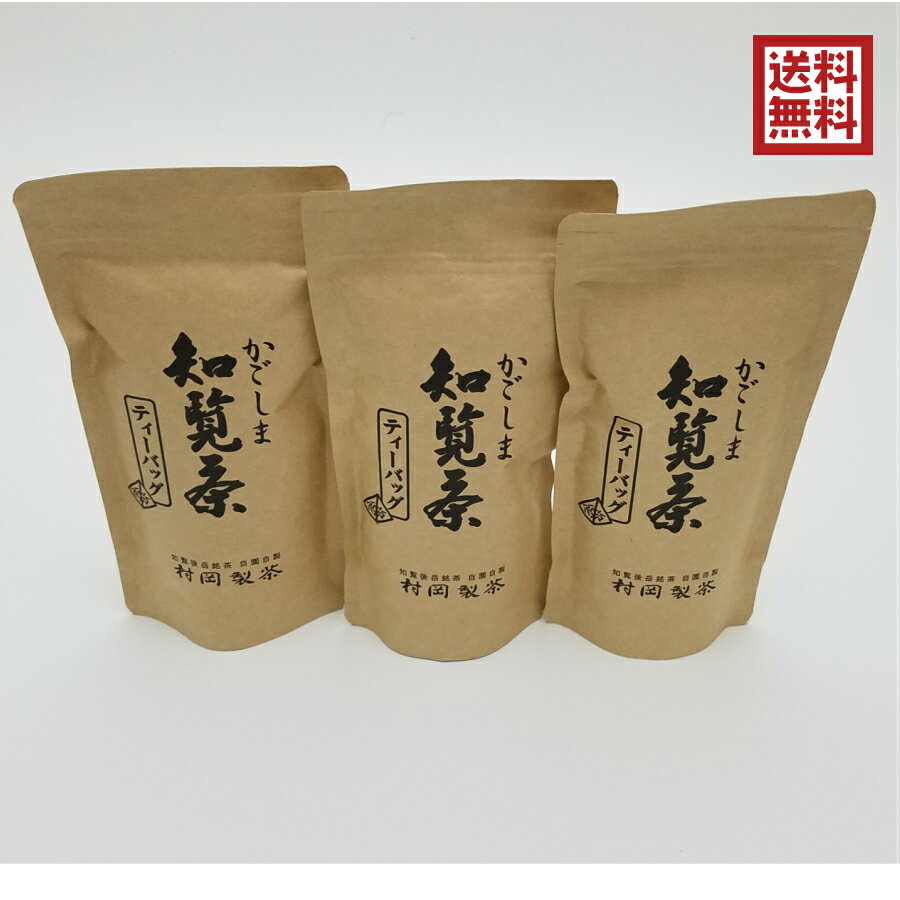 【ティーバッグ3袋セット】かごしま知覧茶　緑茶ティーバッグ　1袋100g（5g×20個）鹿児島県知覧町産　ホットでもアイスでも　農家直送 煎茶　緑茶　お茶　日本茶