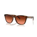 OAKLEY オークリー Frogskins フロッグスキン OO92...(4)