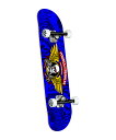 XP[g{[h Rv[gZbg POWELL PERALTA pEG y^ WINGED RIPPER 7.0inch KK I9