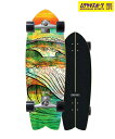 CARVER カーバー ロング スケートボード LANDスケート 29.0inch CX 2022 SWALLOW