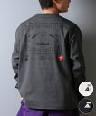 POLER ポーラー 水着 ラッシュガード 長袖 Tシャツ ロンT メンズ バックプリント 水陸両用 UVカット 259MCV0022 ムラサキスポーツ限定