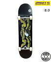 ANTIHERO アンチヒーロースケートボード コンプリート アンチヒーロー MISREGISTER EAGLE LG 8.0inch