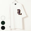 DEAR LAUREL ディアローレル Tシャツ D22S2102 メンズ 半袖 Tシャツ JJ1 D5