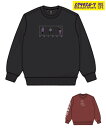 VOLCOM ボルコム スノーボード ウェア インナー スウェット トレーナー ユニセックス ESSENTIAL CREW G4652501 ムラサキスポーツ 24-25モデル