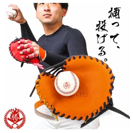 楽天市場】硬式用 トレーニング用スモールグローブ 右投用の通販