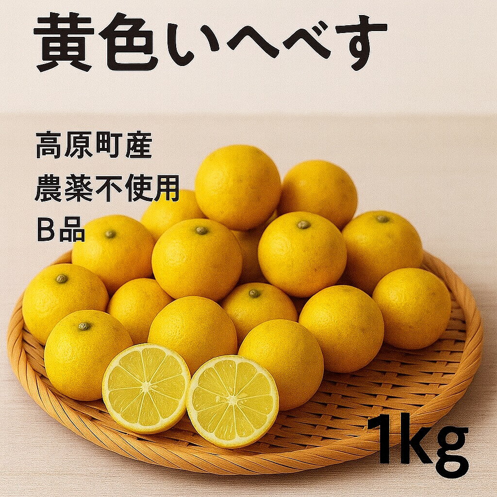 【宮崎県産】へべす【B品黄色】総重量1kg（内容量約1.0〜1.2kg）約10玉