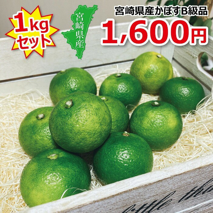 【宮崎県産】かぼす【訳あり品】1kg