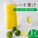 【宮崎県産】へべす果汁 冷凍 1kg【業務用】