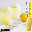 【宮崎県産】レモン果汁 / 1kg【業務用】冷凍