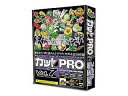 ★ デザインオフィス　協和 カットPRO Vol.7 リアルタッチ 植物・野菜・果物編 (CPR207) 特徴・機能 どんな商品？ 発売日：2007/7/20精密にしっかりと描かれた感動のスーパー高品位アート。精密にしっかりと描かれた感動のスーパー高品位アート。写真素材の表現力とイラスト素材の使いやすさを合わせ持つ、スーパーリアルな高品位イラストを熱血イラストレーター外山晃典氏が描きました。精密にしっかりと描かれたパーツはイラストを超えたイラスト。もちろんこれもアドビ・イラストレーターで製作されたドローイングデータ。カットPRO Vol.7 リアルタッチ 植物・野菜・果物編&nbsp;商品情報CPUPentium II以上推奨OSWindows95/98/98SE/Me/NT/2000/XP/Vistaメモリ32MB以上空きHDD14MB以上供給メディアCD-ROM対応機種画面解像度800×600ピクセル以上