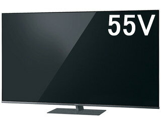 TH-55FX80065V型