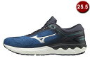 mizuno/ミズノ WAVE SKYRISE/ウエーブスカイライズ 25.5cm ランニング ブルー×シルバー J1GC2009-03