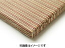HAGIHARA ハギハラ メーカー直送代引不可 【同色9枚入】置き畳 綾川 約82cm BR ブラウン 159050261 ※同梱注文不可 沖縄・北海道・離島お届並びに配送時間指定不可