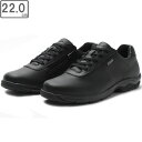 ~Ym mizuno yjZbNXz EH[LOV[Y LD40 VI GTX y3EzyubNzy22.0cmz B1GD2207 LD40 6 SAebNX