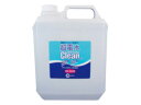 CHEMICOAT ケミコート ★★★【Clean Shu!Shu!】超電水クリーンシュシュ 4L用