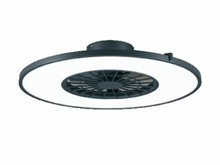 東京・神奈川・千葉・埼玉・群馬・栃木・茨城・山梨のみ配送可能 ODELIC オーデリック 【大型商品！】OL291275BR　シーリングファン(オゾン発生器付)（チャコールグレー色） 【大型商品の為時間指定不可】